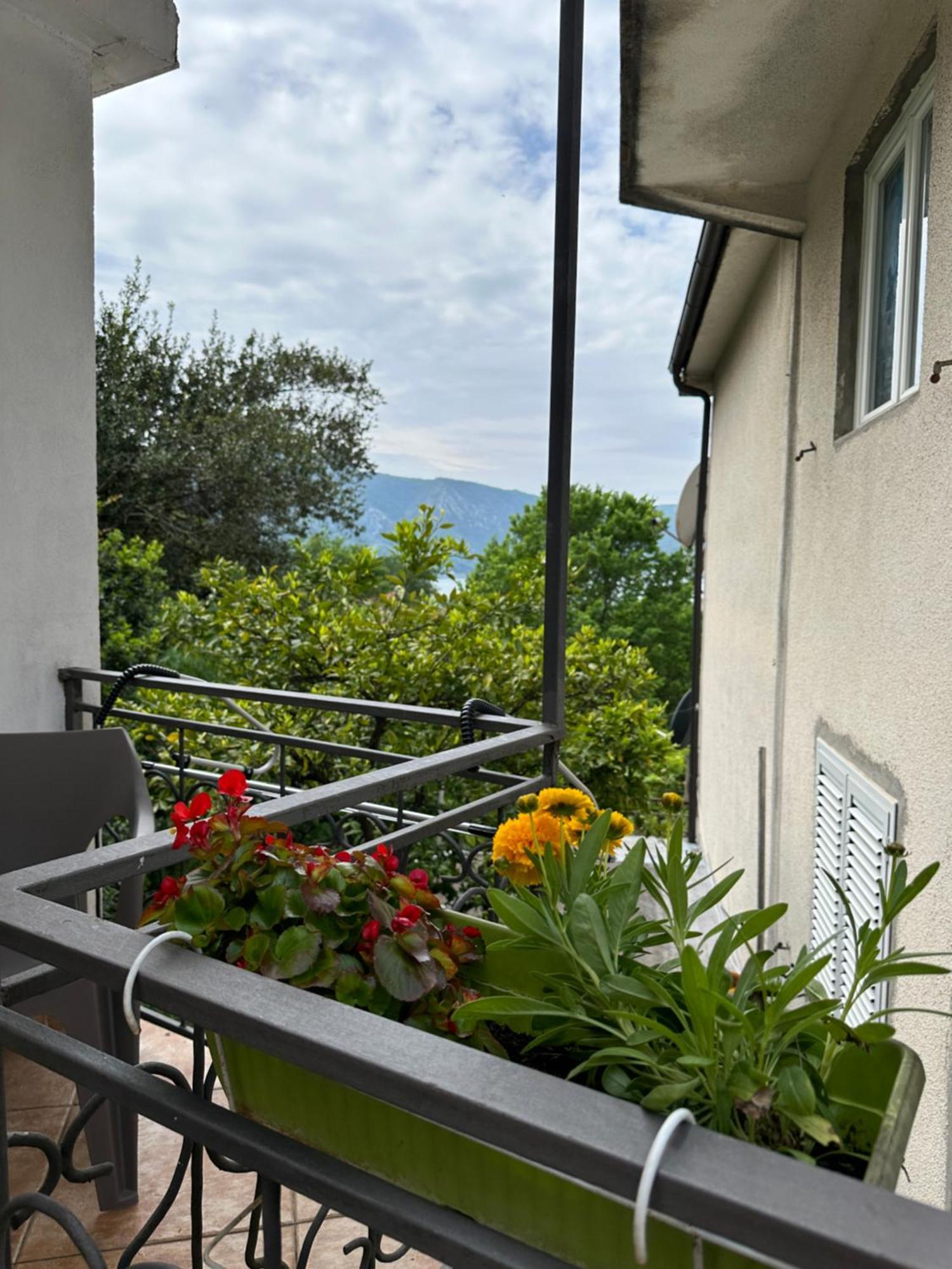 Apartman Nina Risan Kültér fotó